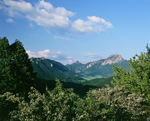 img00026.jpg