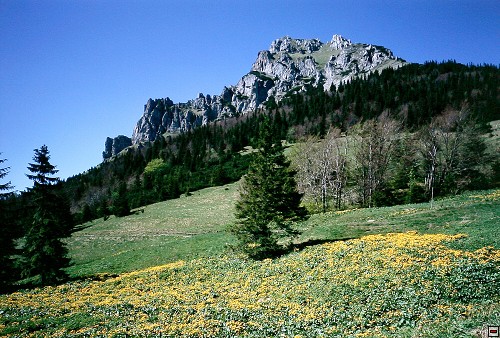 img00027.jpg