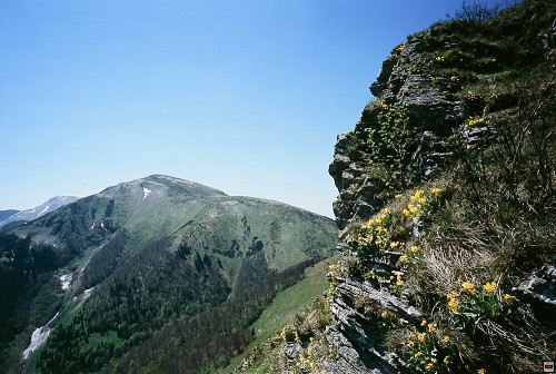 img00028.jpg