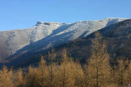 img00030.jpg