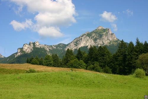 img00031.jpg