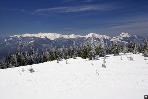 img00033.jpg
