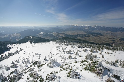 img00034.jpg