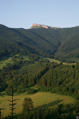 img00035.jpg