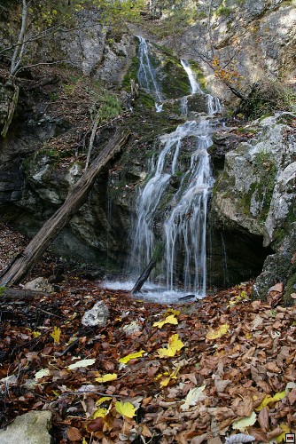img00036.jpg