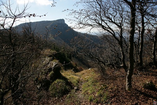 img00037.jpg