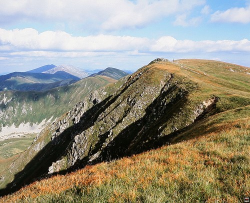 img00004.jpg