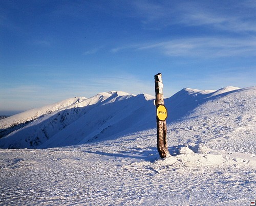 img00006.jpg
