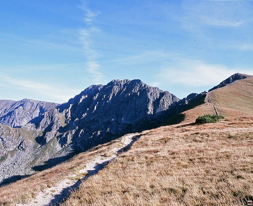 img00009.jpg