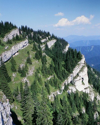 img00014.jpg