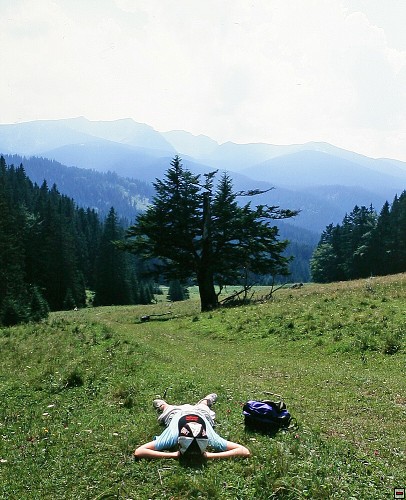 img00015.jpg
