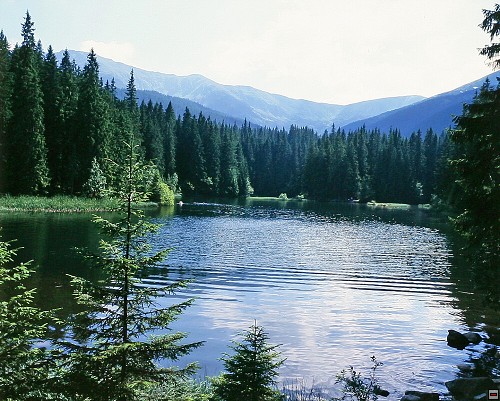 img00016.jpg
