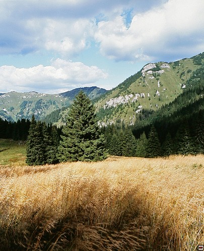 img00018.jpg