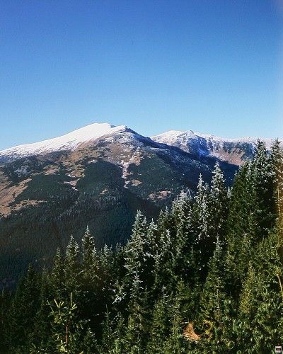 img00019.jpg