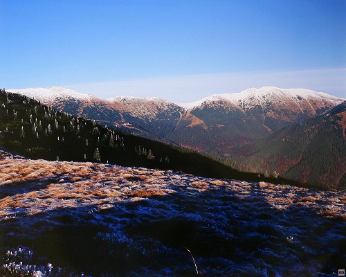 img00020.jpg