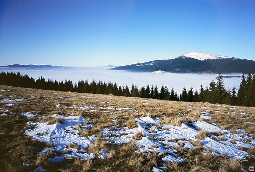 img00021.jpg