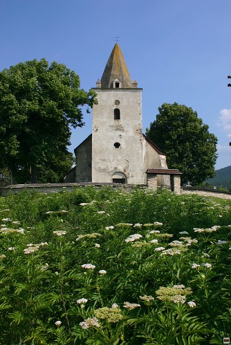 img00013.jpg