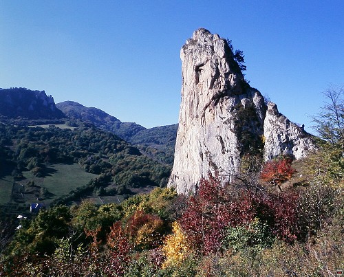 img00004.jpg