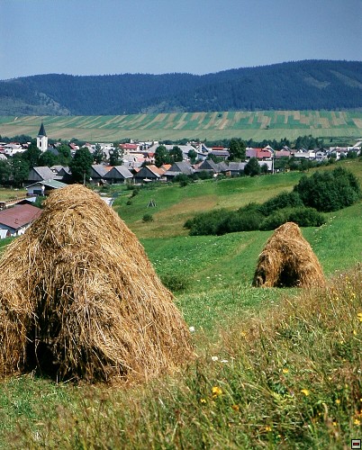 img00011.jpg