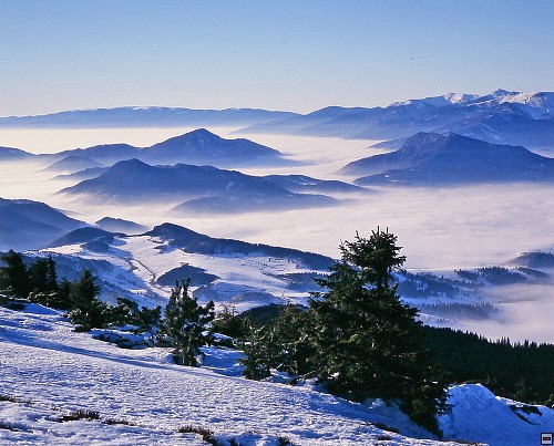 img00020.jpg