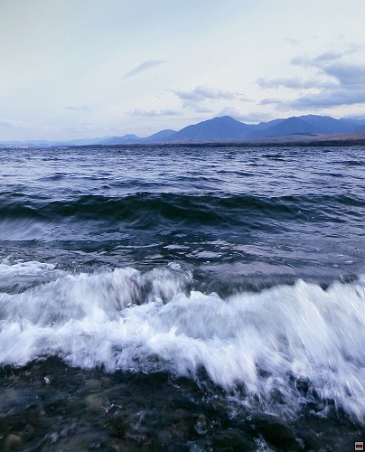 img00021.jpg