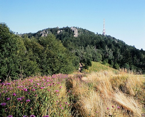 img00030.jpg