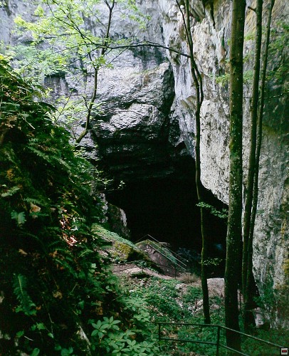 img00035.jpg