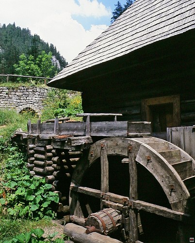 img00003.jpg