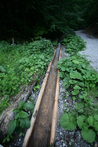 img00009.jpg