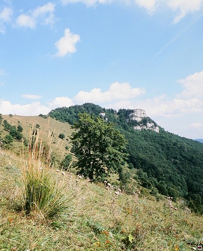 img00001.jpg
