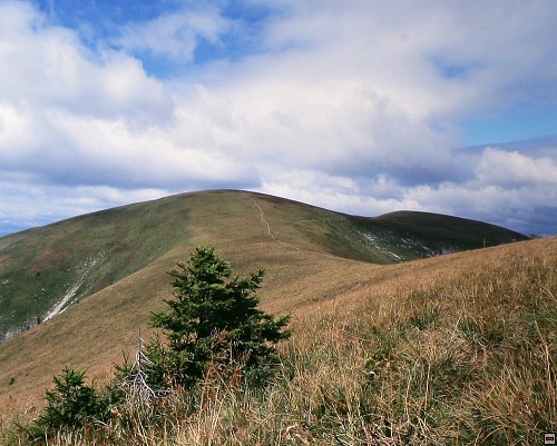 img00002.jpg