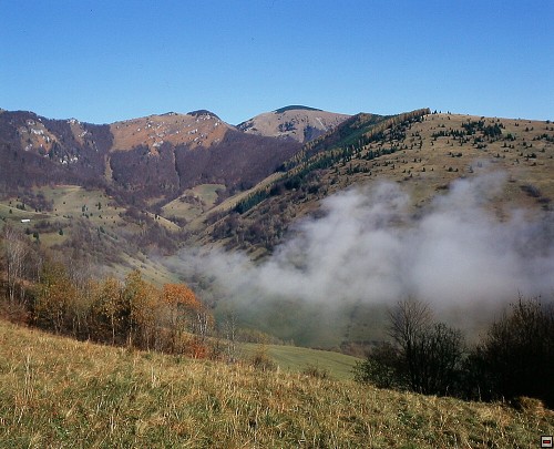 img00004.jpg