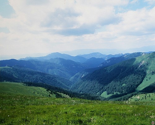 img00005.jpg