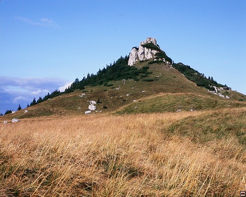 img00009.jpg