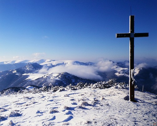 img00010.jpg