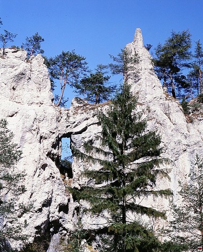 img00012.jpg