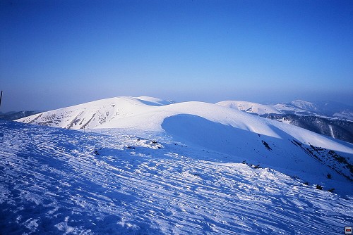 img00014.jpg