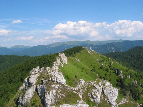 img00017.jpg