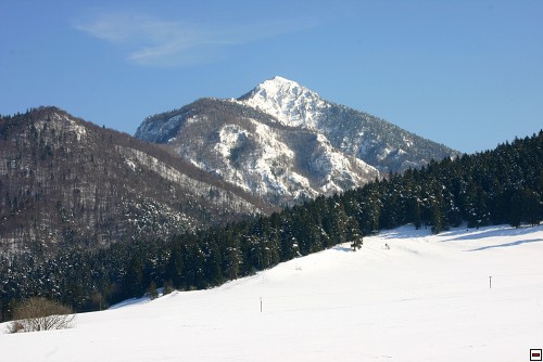 img00018.jpg