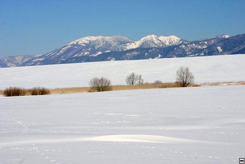 img00019.jpg
