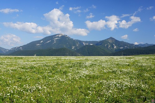 img00020.jpg