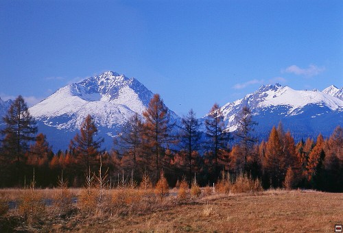 img00007.jpg