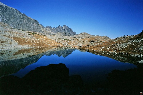 img00010.jpg