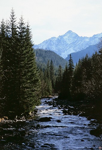 img00011.jpg