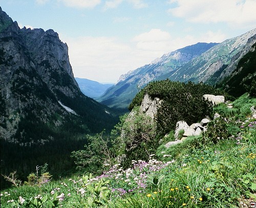 img00012.jpg