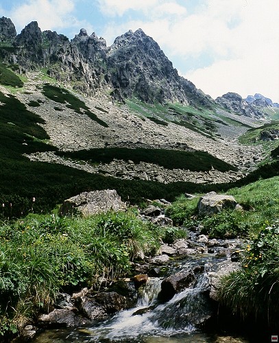 img00013.jpg