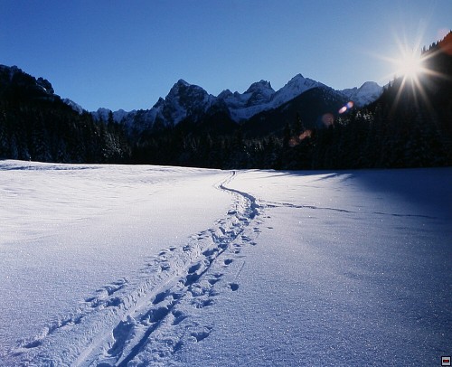 img00014.jpg