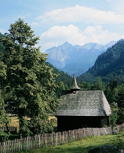 img00017.jpg