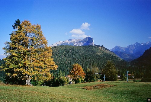img00018.jpg