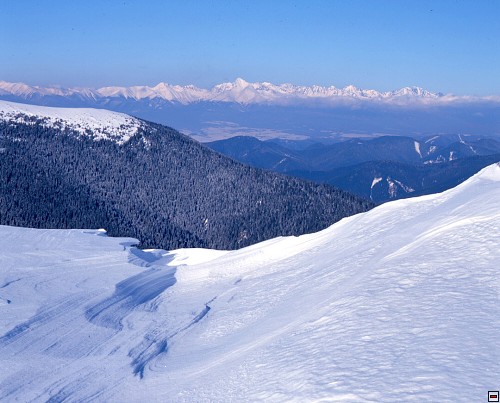 img00019.jpg